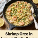 Shrimp Orzo in Lemon Garlic Sauce for an Easy Weeknight Dinner - Recipe Image